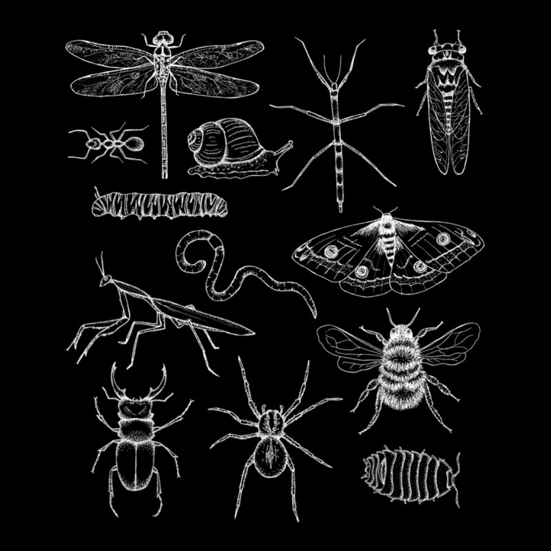 Minibeasts Insects And Invertebrates Drawings V-neck Tee | Artistshot