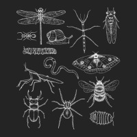 Minibeasts Insects And Invertebrates Drawings 3/4 Sleeve Shirt | Artistshot