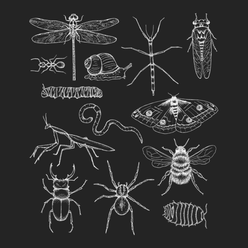 Minibeasts Insects And Invertebrates Drawings 3/4 Sleeve Shirt | Artistshot