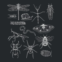 Minibeasts Insects And Invertebrates Drawings Crewneck Sweatshirt | Artistshot