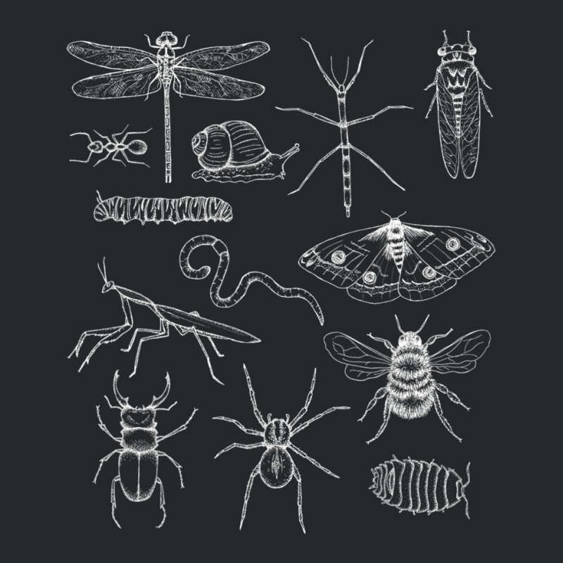 Minibeasts Insects And Invertebrates Drawings Crewneck Sweatshirt | Artistshot