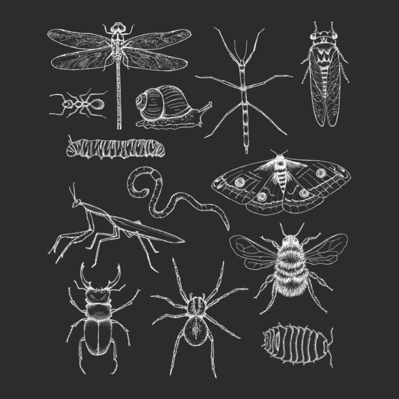 Minibeasts Insects And Invertebrates Drawings Exclusive T-shirt | Artistshot