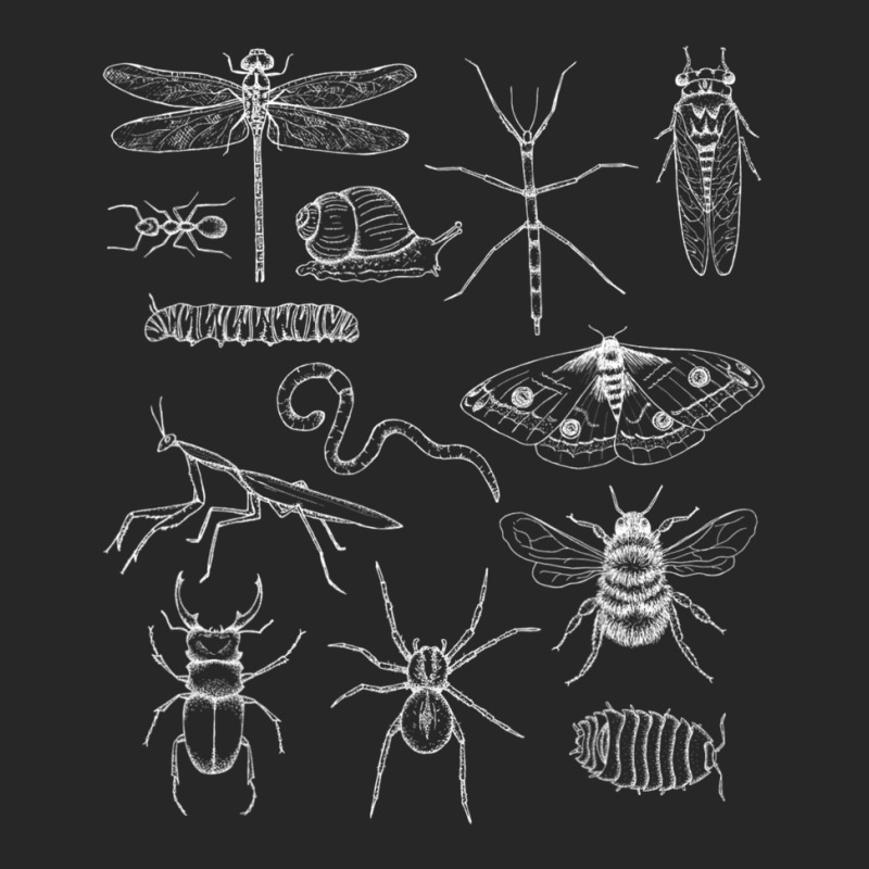 Minibeasts Insects And Invertebrates Drawings Men's T-shirt Pajama Set | Artistshot