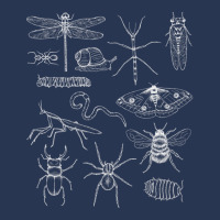 Minibeasts Insects And Invertebrates Drawings Men Denim Jacket | Artistshot