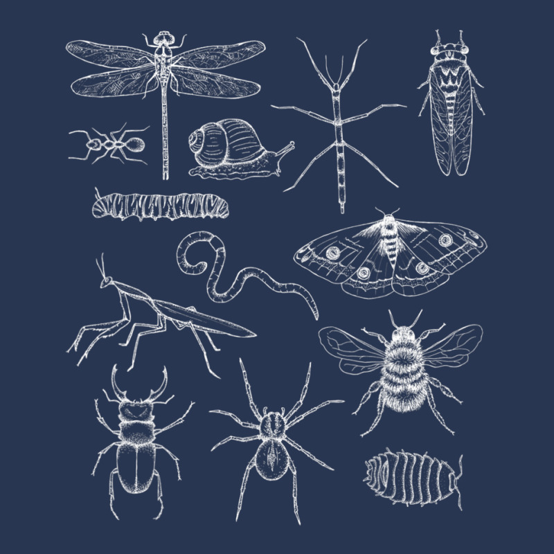 Minibeasts Insects And Invertebrates Drawings Men Denim Jacket | Artistshot