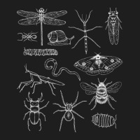 Minibeasts Insects And Invertebrates Drawings Classic T-shirt | Artistshot