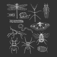 Minibeasts Insects And Invertebrates Drawings Vintage Short | Artistshot