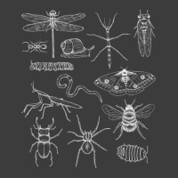 Minibeasts Insects And Invertebrates Drawings Men's Polo Shirt | Artistshot