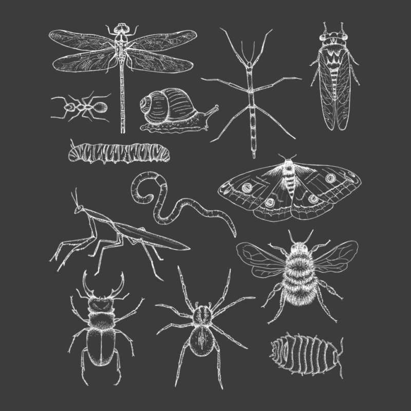 Minibeasts Insects And Invertebrates Drawings Men's Polo Shirt | Artistshot