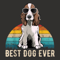 English Springer Spaniel Dog Breed Champion Hoodie | Artistshot