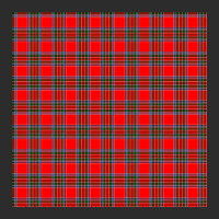 Binning Plaid Tartan Scottish Exclusive T-shirt | Artistshot