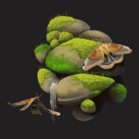 Polyphemus Moths On Rocks T-shirt | Artistshot