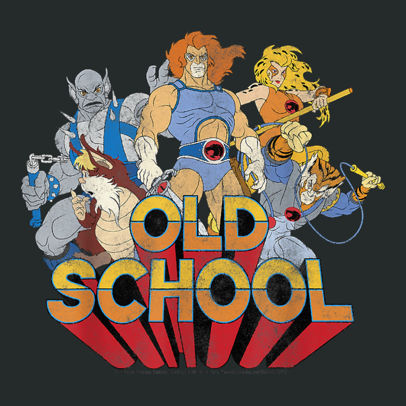 Thundercats Old School Group Shot Women's Triblend Scoop T-shirt by GretchenJennie | Artistshot