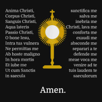 Anima Christi Tshirt Soul Of Christ Sanctify Catholic Latin Graphic T-shirt | Artistshot