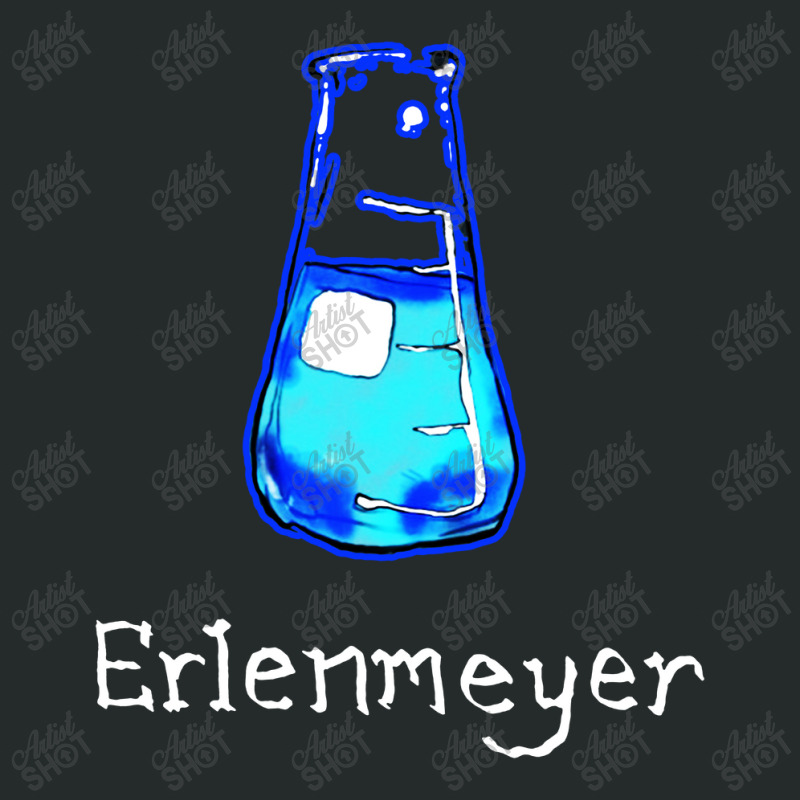 Erlenmeyer, Laboratory Women's Triblend Scoop T-shirt by DagDigDug | Artistshot