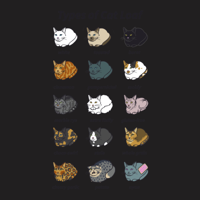 The Types Of Cat Loaf T-shirt | Artistshot