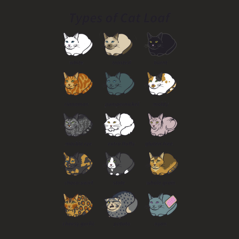 The Types Of Cat Loaf Ladies Fitted T-Shirt by ArthurJungbauer | Artistshot