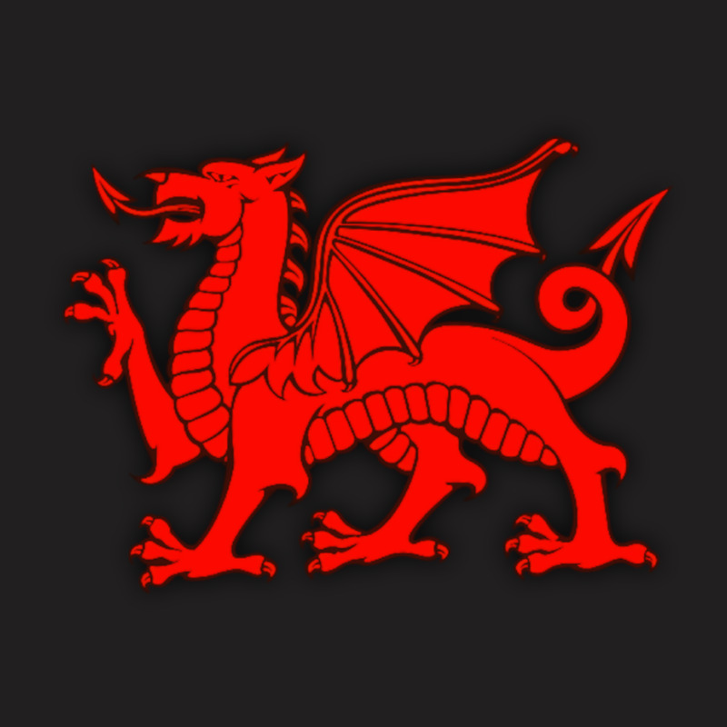 Owain Glyndwr T-shirt | Artistshot