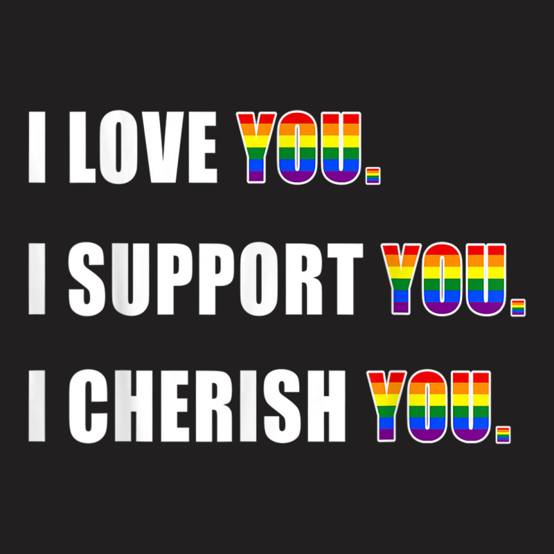 I Love You Support You Cherish You Lgbt Gay Pride Ally Shirt T-shirt | Artistshot