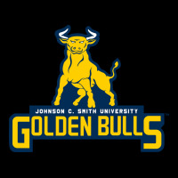 Johnson C. Smith University Golden Bulls Youth Hoodie | Artistshot