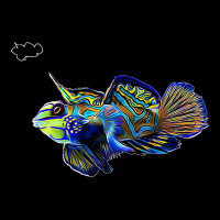 Mandarin Goby Dragonet Saltwater Reef Aquarium Fish Tank Premium Cropped Hoodie | Artistshot