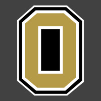 Oakland Golden Grizzlies Alternate Vintage T-shirt | Artistshot