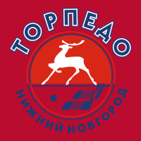 Torpedo Nizhny Youth Hoodie | Artistshot