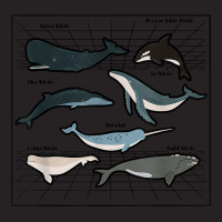 Types Of Whales Marine Mammal Sea Life Marine Biologist T Shirt Vintage Cap | Artistshot