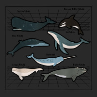 Types Of Whales Marine Mammal Sea Life Marine Biologist T Shirt Printed Hat | Artistshot