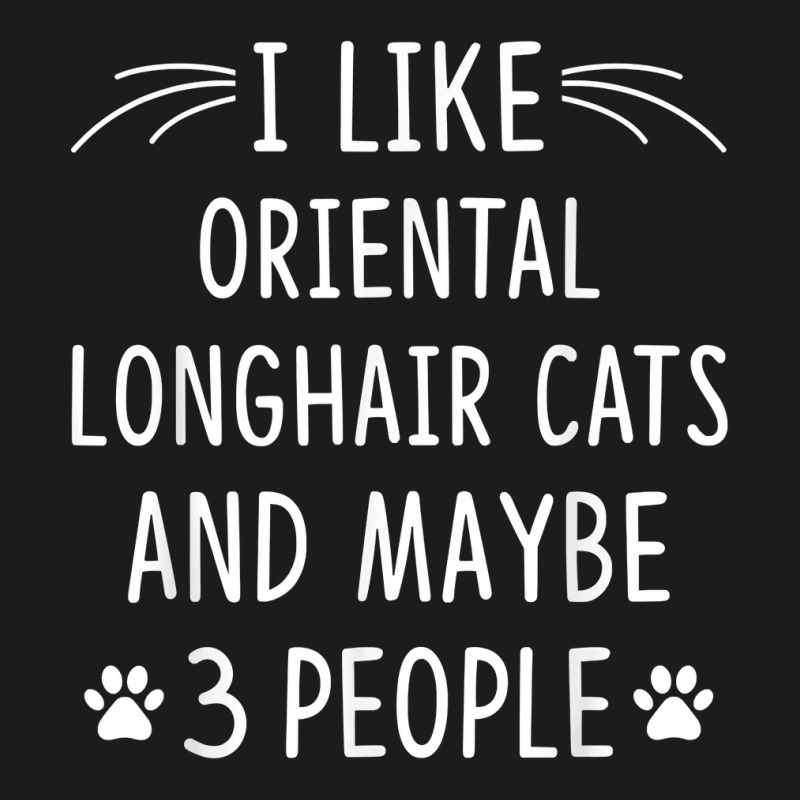 I Like Oriental Longhair Cats And Maybe 3 People Funny T Shirt Hoodie & Jogger Set | Artistshot