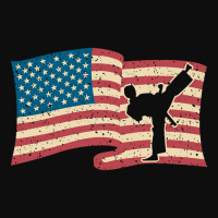 American Flag Karate Kick Silouette Design Crop Top | Artistshot