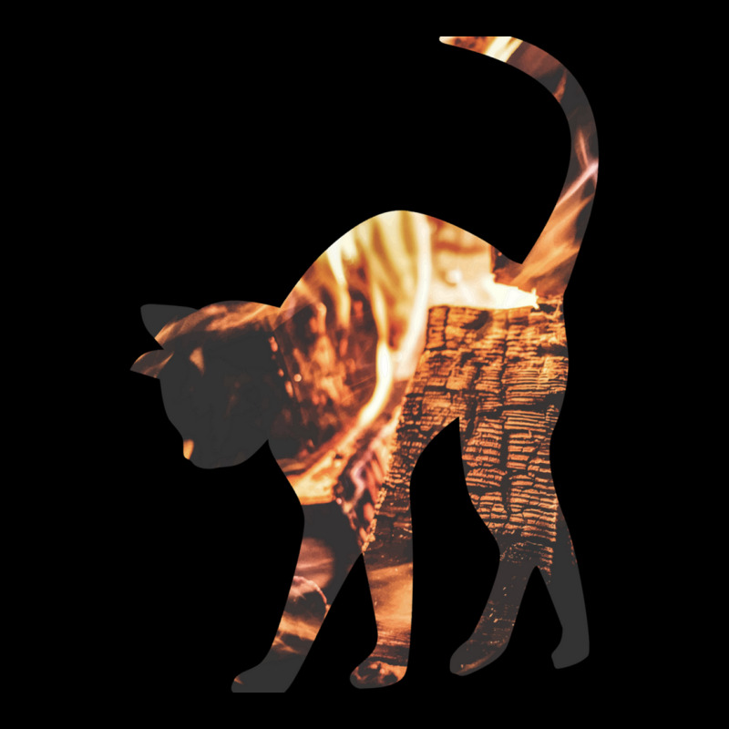 This Cat Is On Fire Adjustable Cap by QUANVY | Artistshot