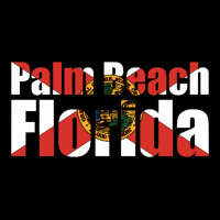 Palm Beach Florida-qjbqx Toddler 3/4 Sleeve Tee | Artistshot