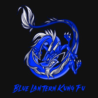 Blue Lantern Kung Fu Skinny Tumbler | Artistshot