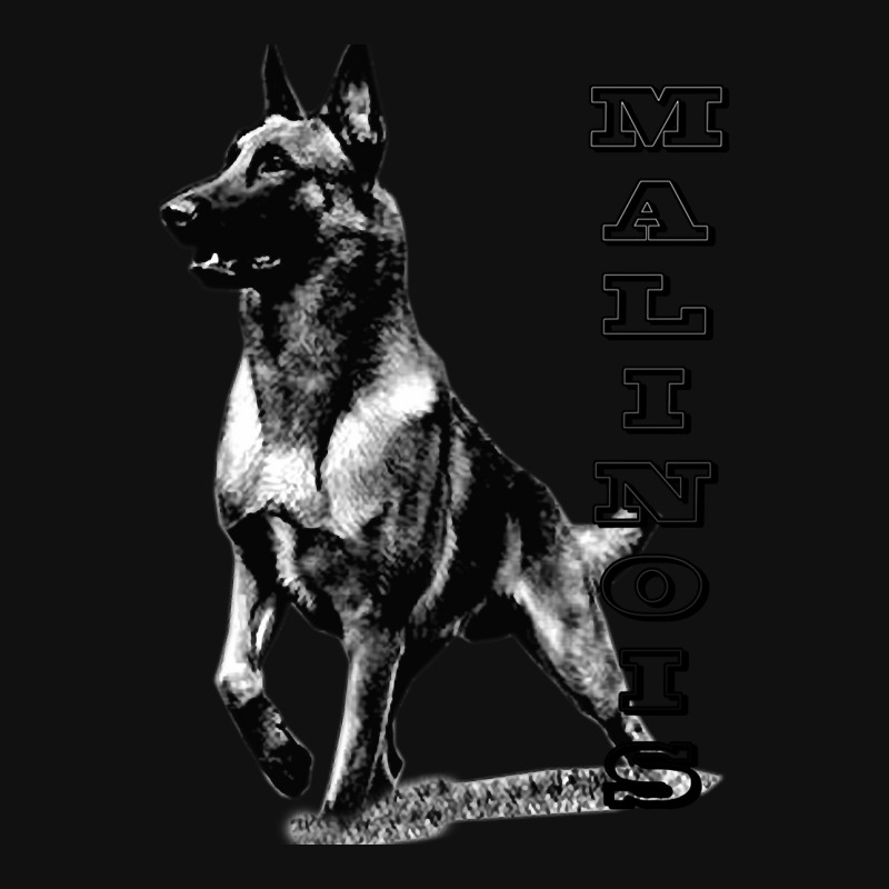 Belgian Malinois Are The Best Graphic Youth T-shirt by Min06 | Artistshot