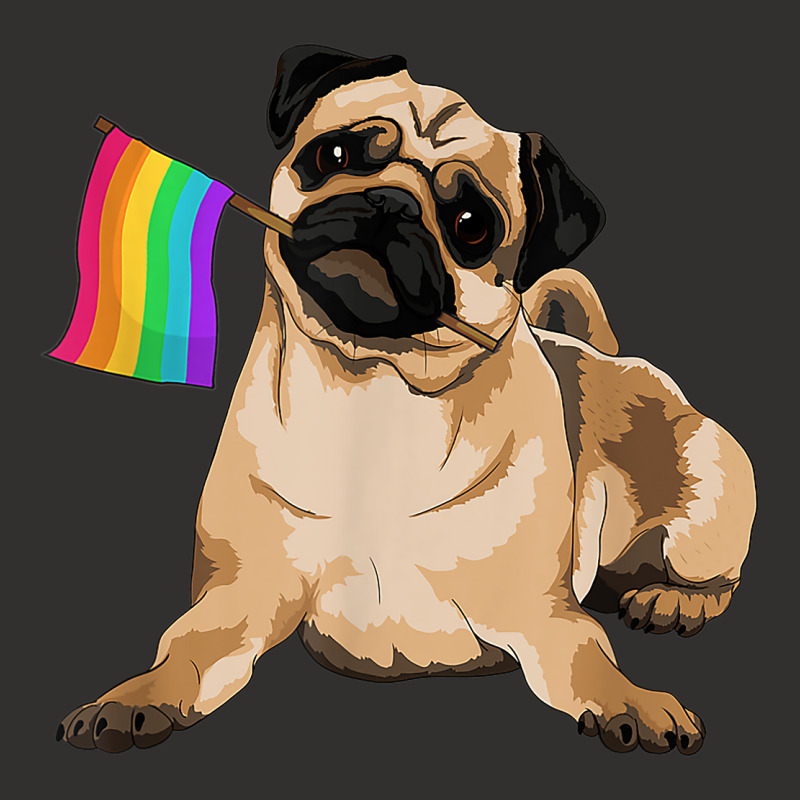 Pug Dog Rainbow Flag Lgbt T Shirt Gay Pride Champion Hoodie | Artistshot