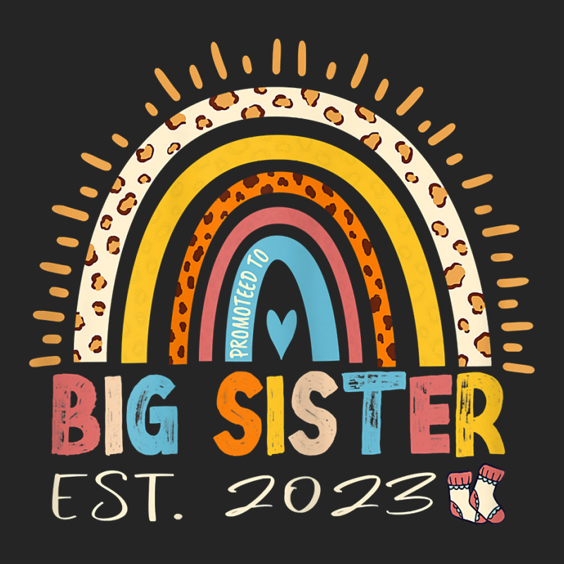 Promoted To Big Sister Est 2023   Rainbow Expectant Sis T Shirt Unisex Hoodie | Artistshot