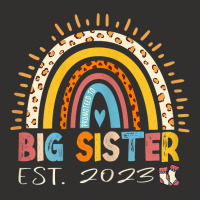 Promoted To Big Sister Est 2023   Rainbow Expectant Sis T Shirt Champion Hoodie | Artistshot