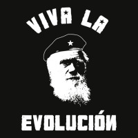 Viva La Evolucion Evolution Scorecard Crop Tee | Artistshot