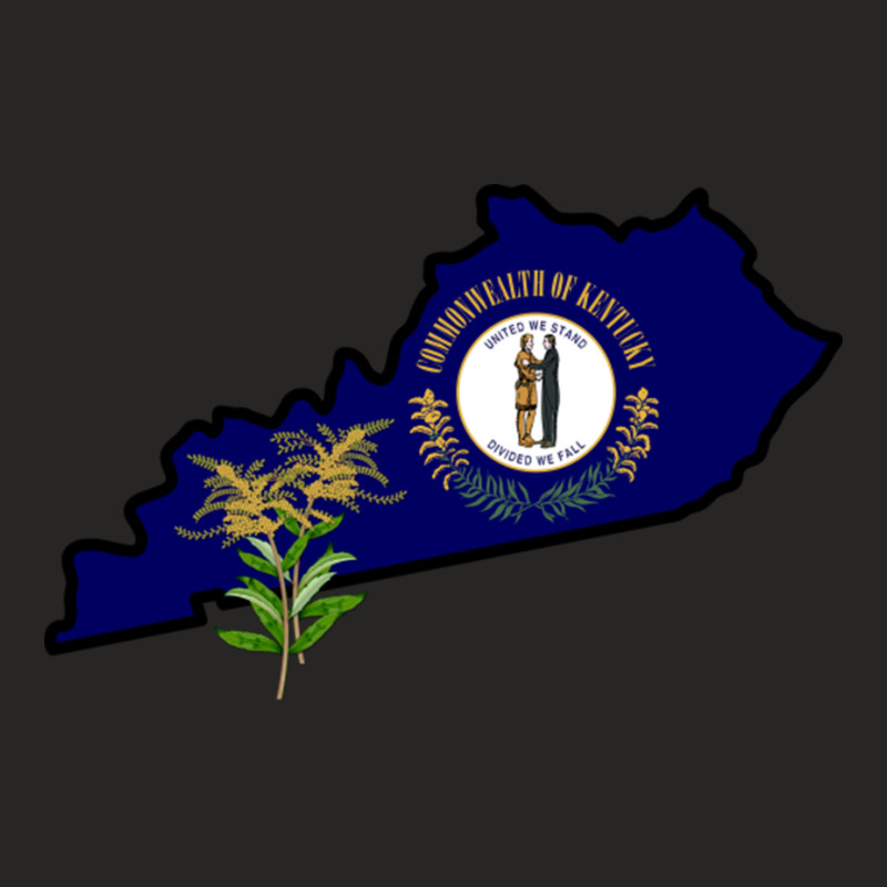 State Of Kentucky Flag With State Flower Giant Goldenrod Ladies Fitted T-Shirt by GeorgeneAnnette | Artistshot