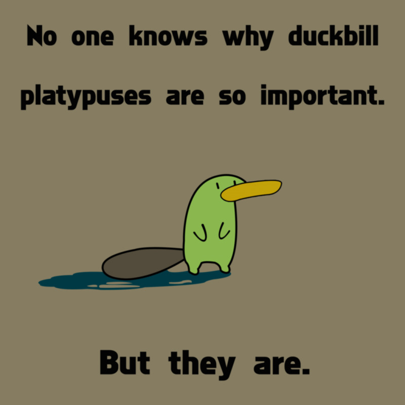 Duckbill Platypuses Are Important Flannel Shirt | Artistshot