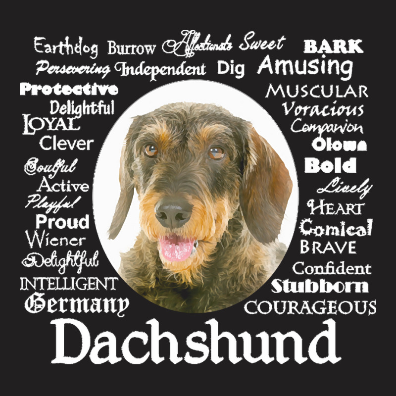 Dachshund T  Shirt Wirehaired Dachshund Traits T  Shirt T-Shirt by hiram84349 | Artistshot