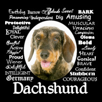 Dachshund T  Shirt Wirehaired Dachshund Traits T  Shirt V-neck Tee | Artistshot