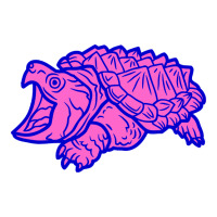 Alligator Snapping Turtle - Reptile - Wildlife - Animals Sticker | Artistshot