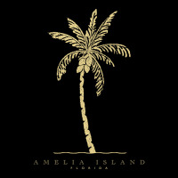 Amelia Island, Florida Classic Beachwear Pocket T-shirt | Artistshot