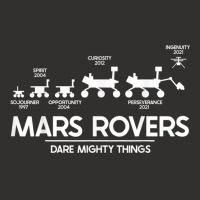 Mars Perseverance Rover Dare Mighty Things Landing Timeline Champion Hoodie | Artistshot