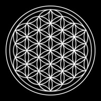 Flower Of Life Sacred Geometry V-neck Tee | Artistshot