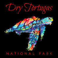 Dry Tortugas National Park Watercolor Sea Turtle Baby Tee | Artistshot