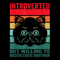 Introverted But Willing To Discuss Exotic Shorthair, Exotic Women's V-neck T-shirt | Artistshot