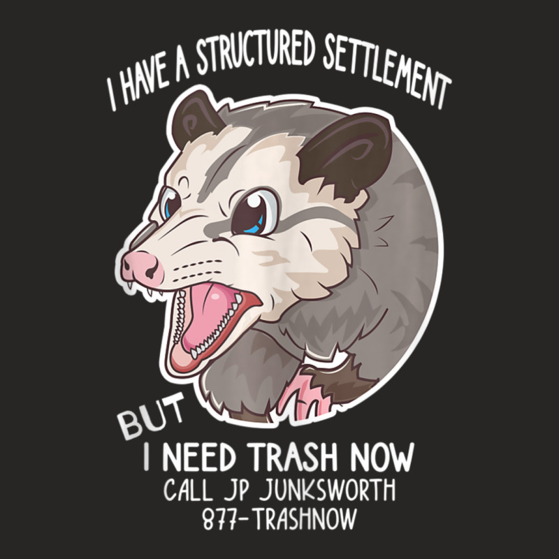 I Need Trash Now Possum Possum Ladies Fitted T-Shirt by rastyrocl | Artistshot